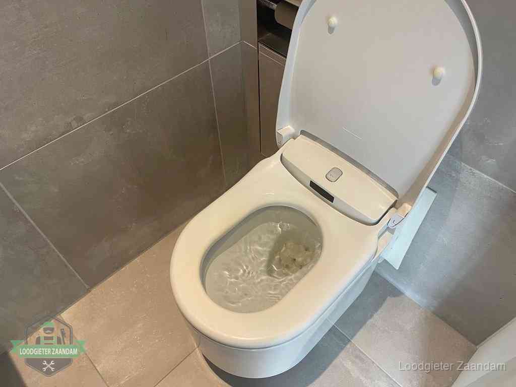 Wc Verstopt In Zaandam Wc Verstopt In Zaandam